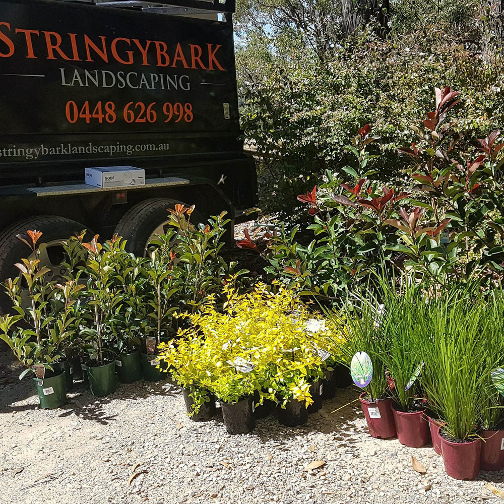 Stringybark landscaping project